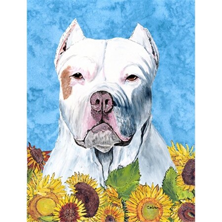 Carolines Treasures Pit Bull Flag Canvas - House Size SC9077CHF